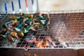 Grilled snails on stove grille , cooking barbecue seafood with spicy sauce.